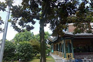 朝直文化用品服务部 日用杂品的专业选择与文化融合