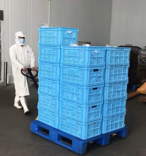 流水线上的日与夜 一位食品厂工人的艰辛与消耗